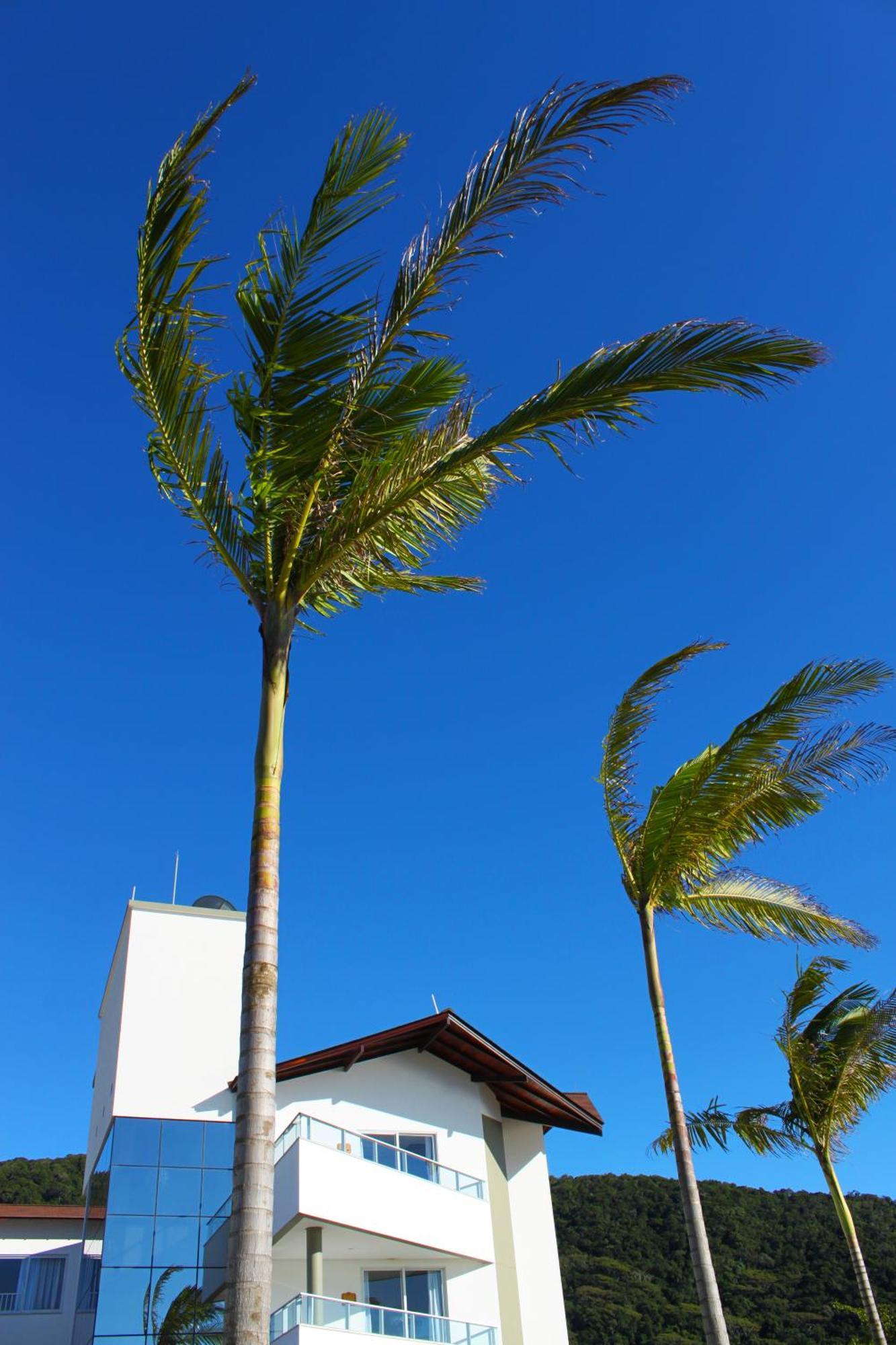 Reserva Praia Hotel Balneario Camboriu Exterior photo